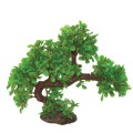 HUGO KAMISHI BONSAI SUMMER 23CM